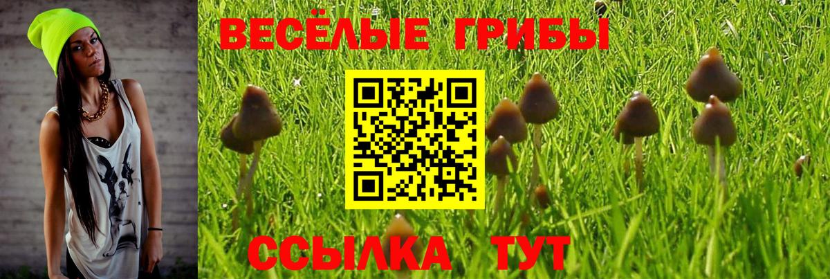 Кольчугино  Псилоцибиновые грибы мухоморы  Вход с VPN 