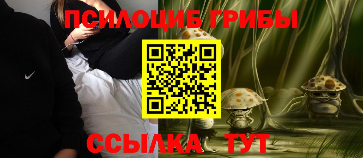 Псилоцибиновые грибы Psilocybe Кольчугино